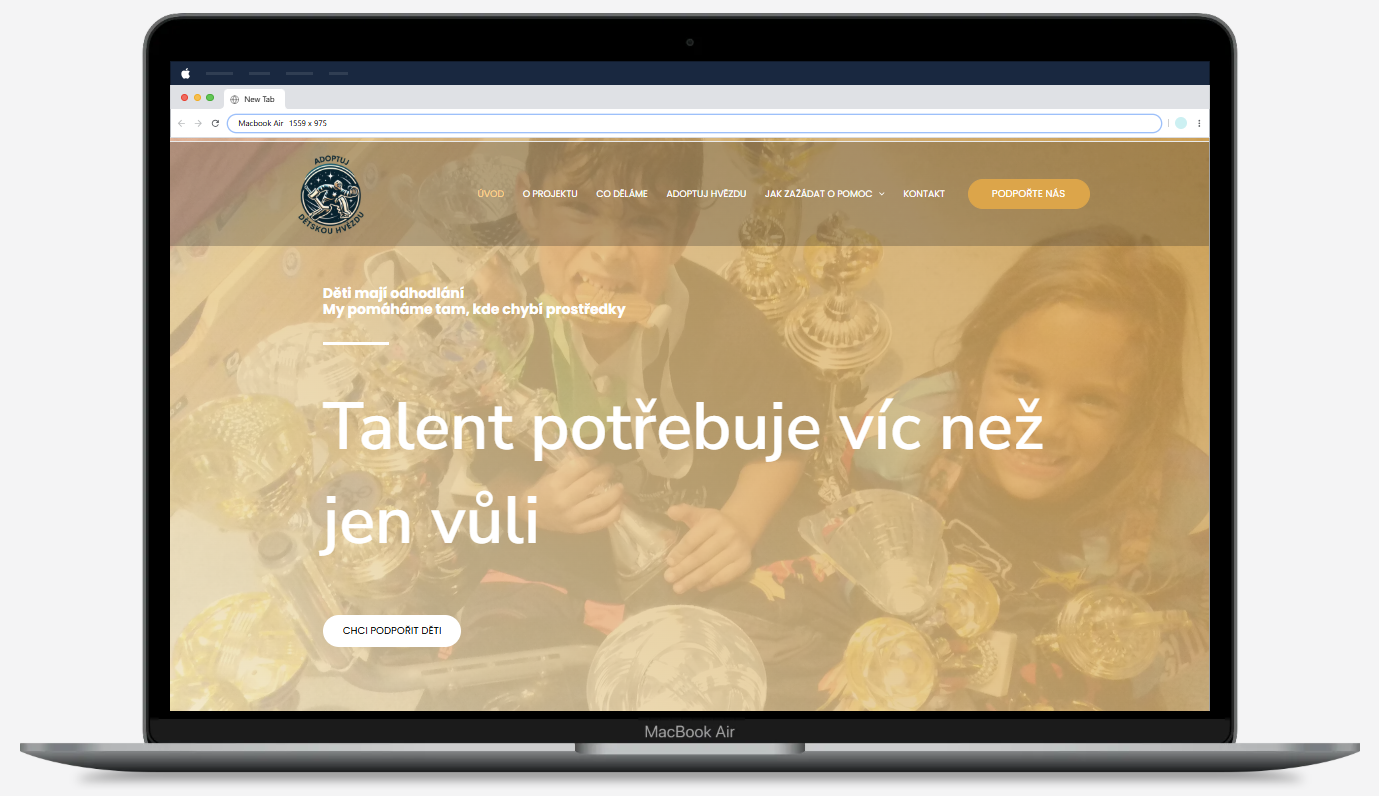 WordPress web